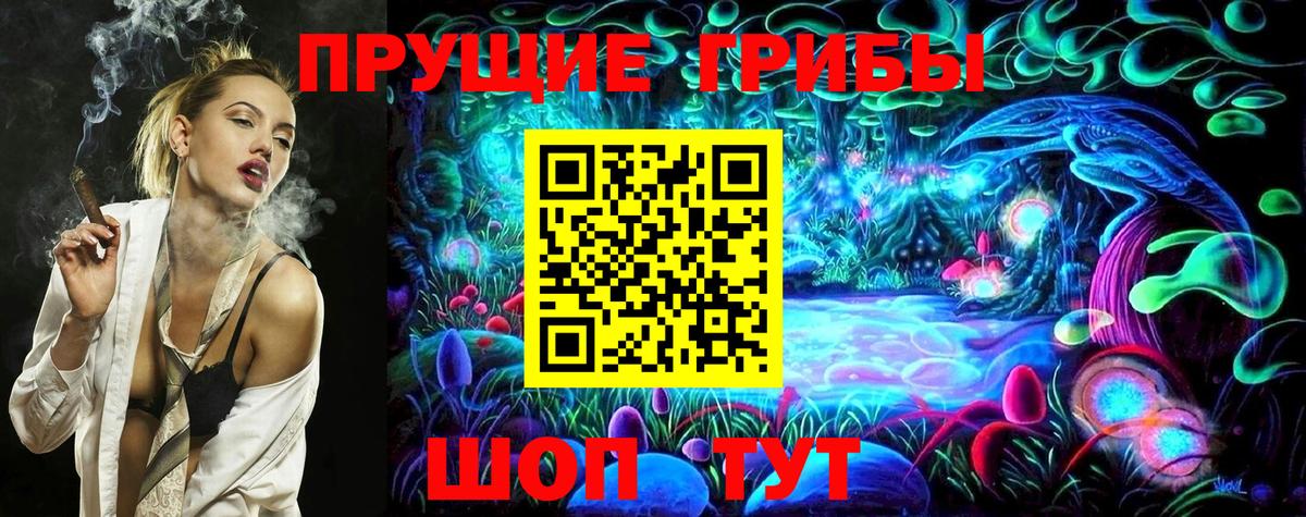 Галлюциногенные грибы Psilocybe Красноярск